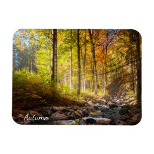 Vackra höstskogen med flod magnet