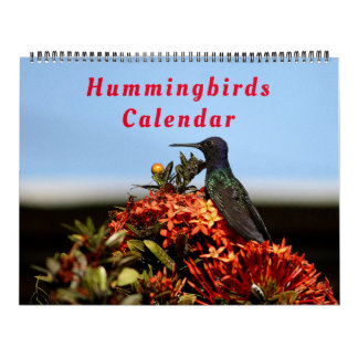 Vackra Hummingbird - Söt Colorful Birds Kalender