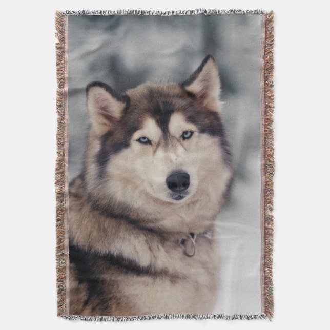 Vackra Husky på utsidan Filt (Framsidan Vertikal)