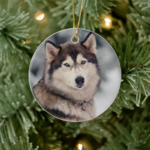 Vackra Husky på utsidan Julgransprydnad Keramik