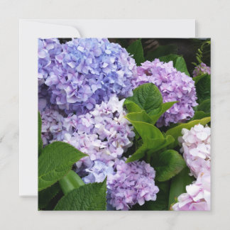 Vackra Hydrangeas-anteckningskort