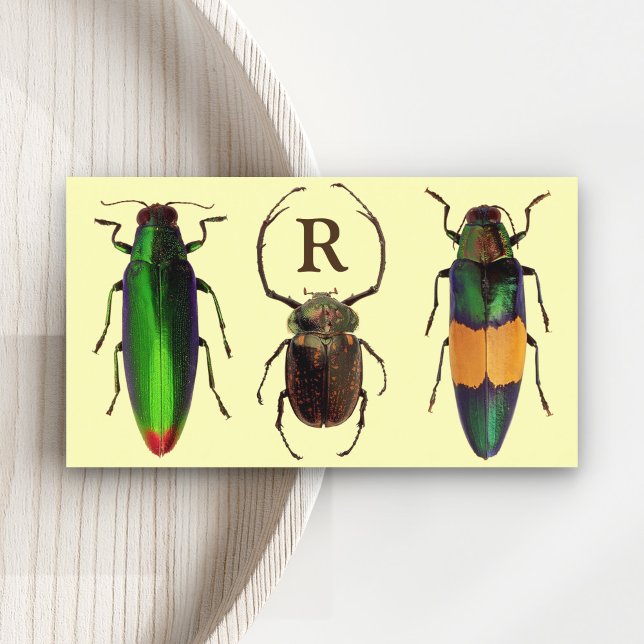 Vackra insekter | Insekter | Monogram | Entomolog Visitkort (Skapare uppladdad)