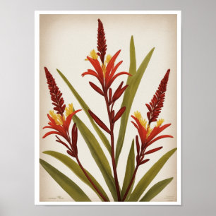 Vackra Kangaroo Tass Flower Wall Poster