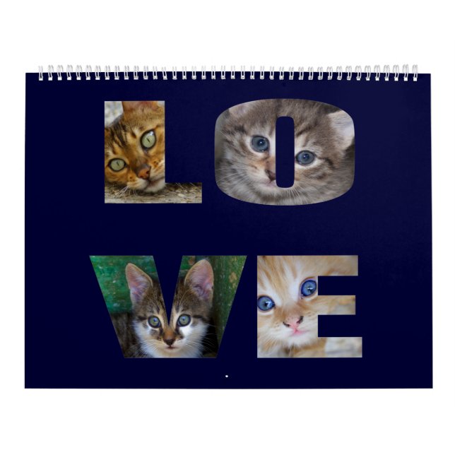 Vackra katter för alla som Kärlek 2022 års kalende Kalender (Omslag)