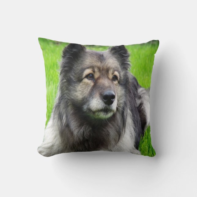 Vackra Keeshond Kudde (Framsida)