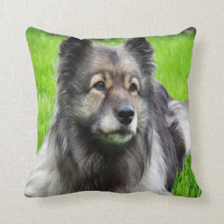 Vackra Keeshond Kudde