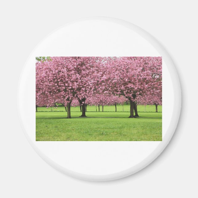 VACKRA KERSKOFULLBLOMNING MAGNET (Framsidan)