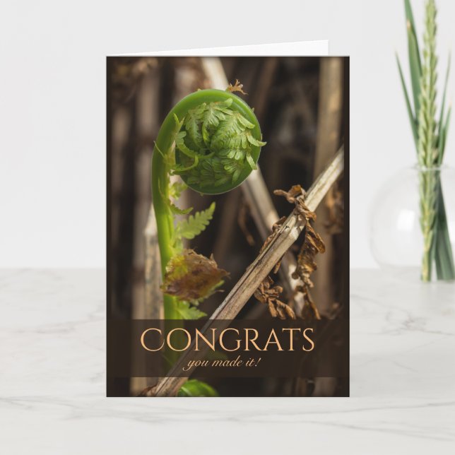 Vackra, klara vintern CC0917 Gratulerar Kort (Framsida)