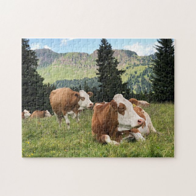 Vackra kor på foto av naturen under betesgång pussel (Horisontell)