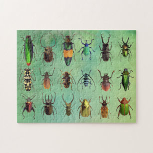 Vackra Kryp Beetle Mania Puzze Pussel