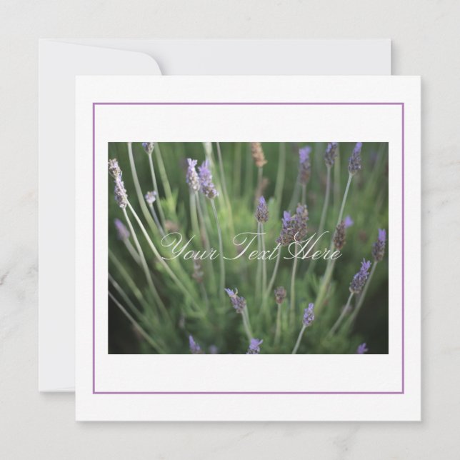 Vackra lavender-blommor - ditt platta textkort (Framsida)