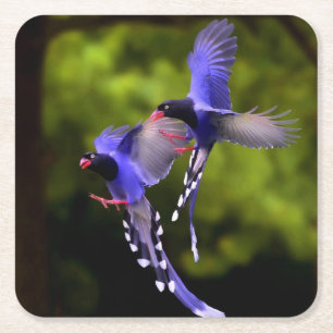 Vackra Lila Birds in Flight Underlägg Set Papper Kvadrat
