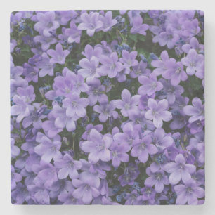 Vackra Lila blommor Stenunderlägg