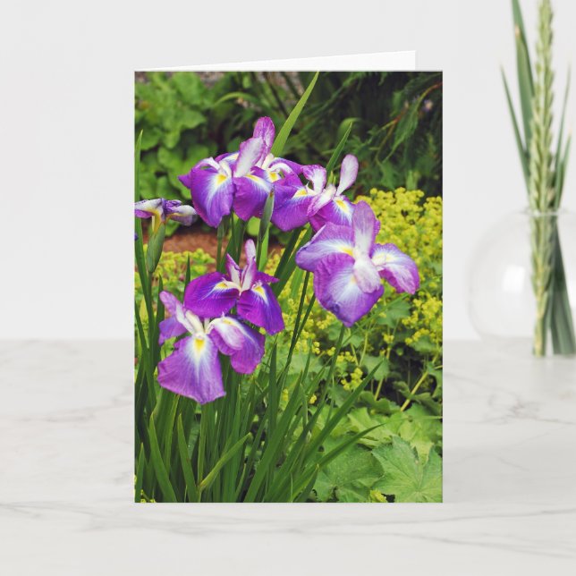 Vackra lila iris-blommor skriver ut hälsningskort kort (Framsida)