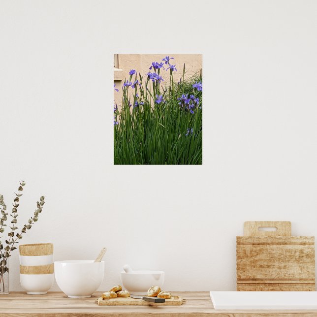 Vackra lila irisar Blommor Poster (Kök)
