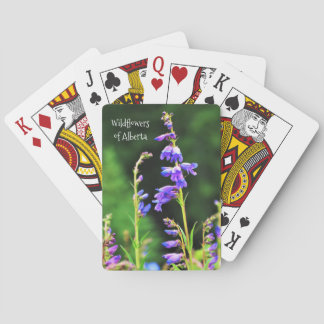 Vackra Lila Wildblommor blommar i Kanada Casinokort