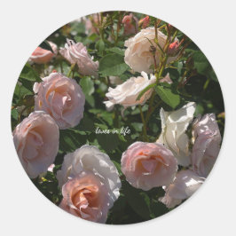 Vackra ljusrosa rosor  runt klistermärke