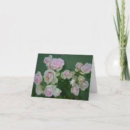 Vackra ljusrosa trädgårdsrosor  kort