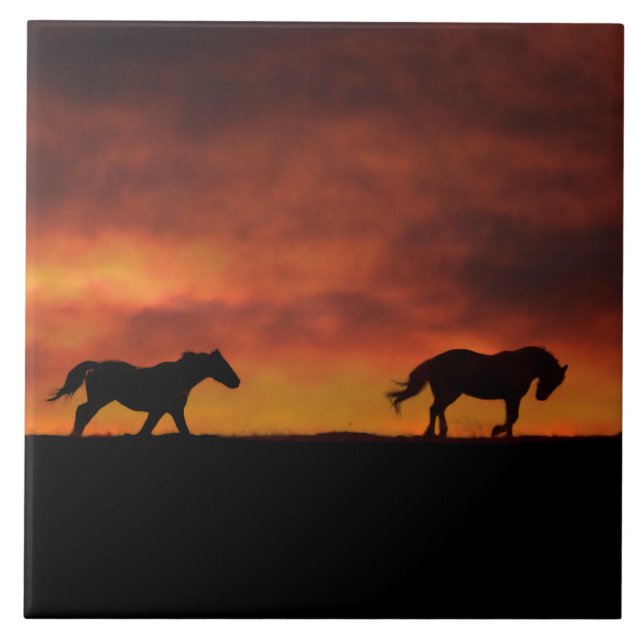 Vackra löphästar i Sunset Art Kakelplatta (Framsidan)