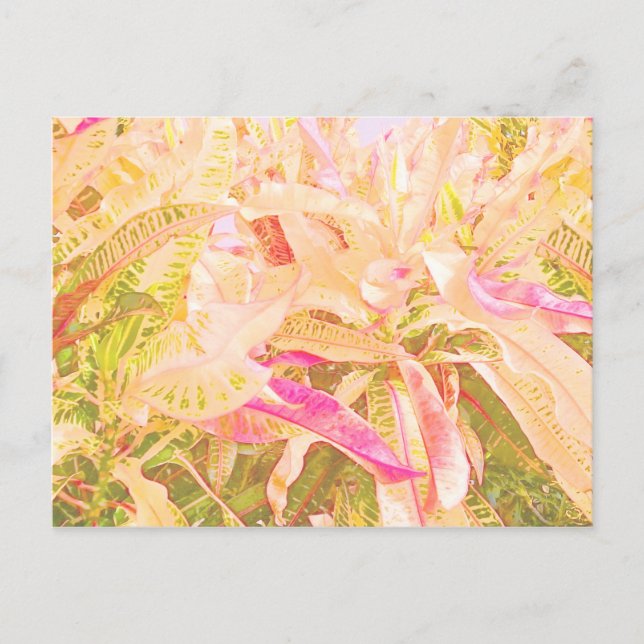 Vackra löv (1) vykort (Framsida)