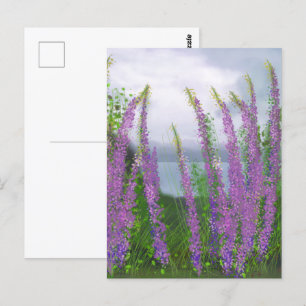 Vackra Lupinblommor Vid Sjön Vykort