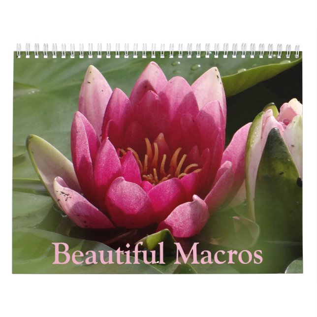 Vackra makron-kalender kalender (Omslag)