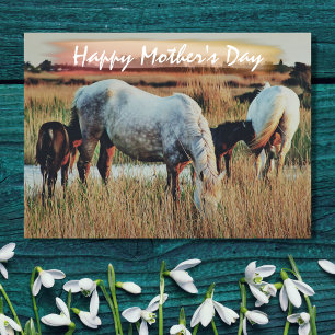 Vackra Mares and Foals Horse Scene Mors dag Kort