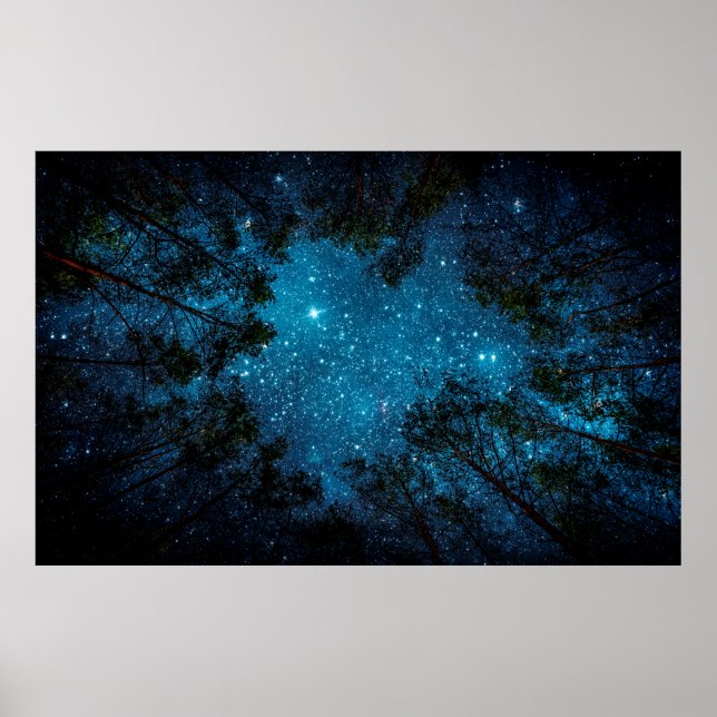 Vackra natten himlar, Milky Way och träd. Poster (Framsidan)