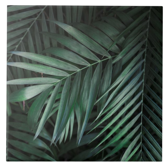 Vackra och Elegant Tropiska Löv av keramiskt mater Kakelplatta (Framsidan)