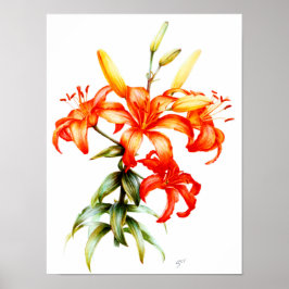 Vackra orangar liljor blyerts- och vattenfärgskons poster