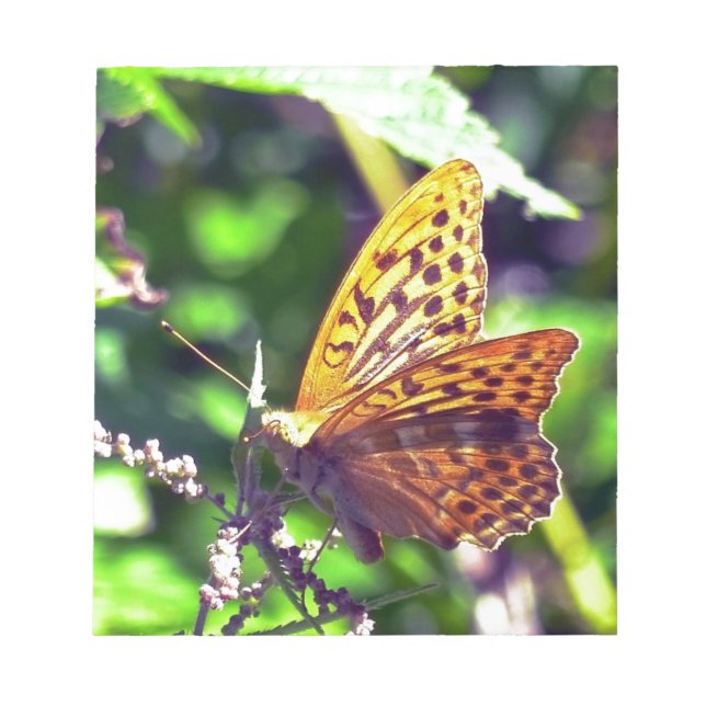 Vackra Orangar och svartfläckad fjäril Anteckningsblock (Framsida)