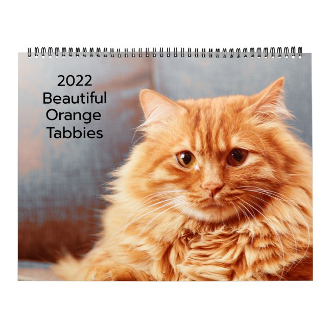 Vackra Orange Tabbies 2022 Kalender (Omslag)