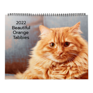 Vackra Orange Tabbies 2022 Kalender