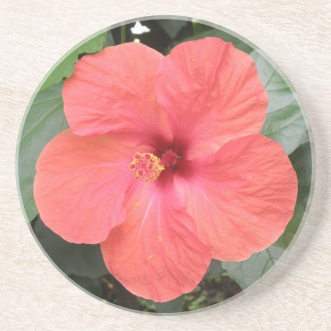 Vackra Orangen Hibiscus Flower Underlägg Sandsten (Framsidan)