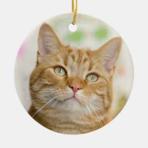 Vackra Orangen Tabby katt närmar sig Julgransprydnad Keramik