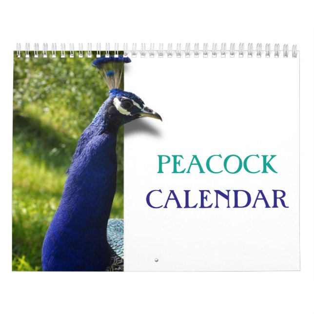 Vackra peacock 2023 kalender (Omslag)