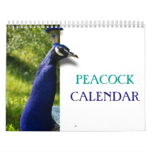 Vackra peacock 2023 kalender