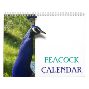 Vackra peacock 2025 kalender