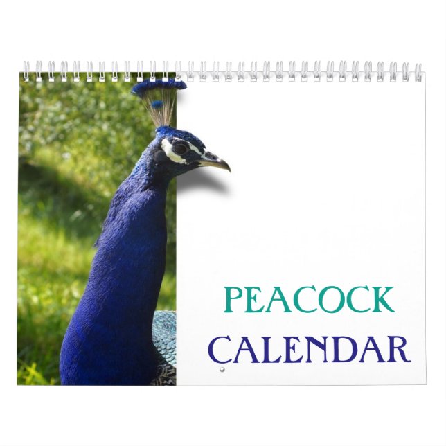 Vackra peacock 2025 kalender (Omslag)
