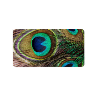 Vackra Peacock Feathers Adressetikett