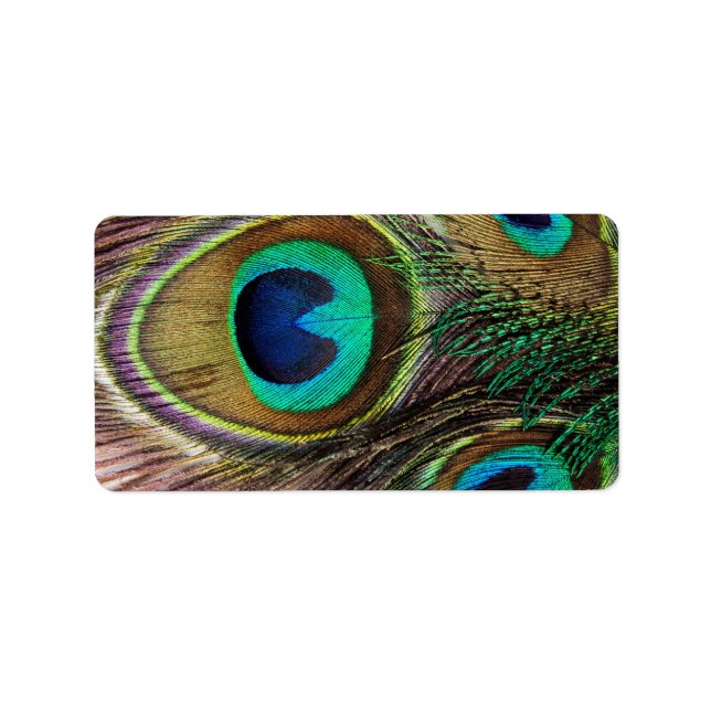 Vackra Peacock Feathers Adressetikett (Framsidan)