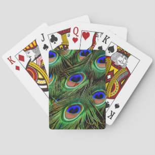 Vackra Peacock Feathers Casinokort