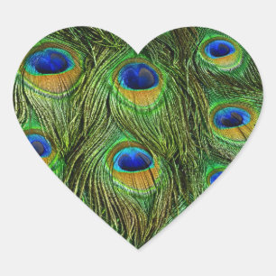 Vackra Peacock Feathers Hjärtformat Klistermärke