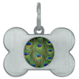 Vackra Peacock Feathers Namnbricka Husdjur