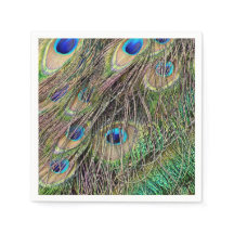 Vackra Peacock Feathers