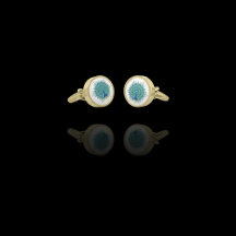 Vackra peacock i Blue Teal Guld