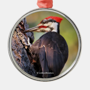 Vackra Pileated Woodpecker på Träd Julgransprydnad Metall
