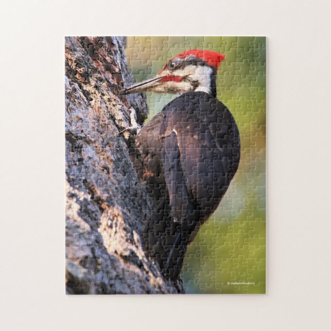 Vackra Pileated Woodpecker på Träd Pussel (Vertikal)