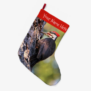 Vackra Pileated Woodpecker på Träd Stor Julstrumpa