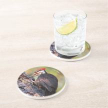 Vackra Pileated Woodpecker på Träd